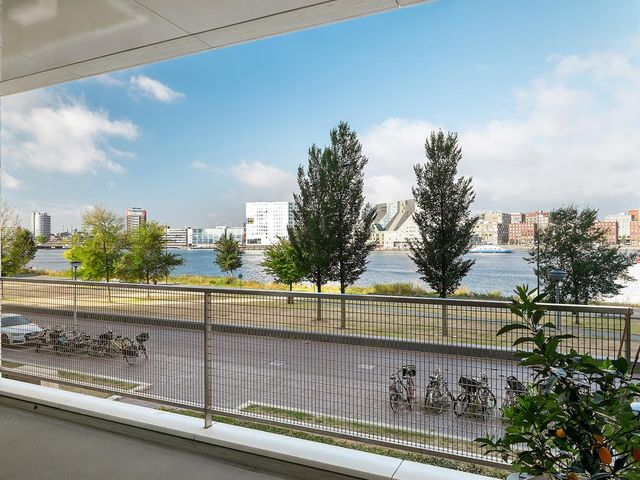 Overhoeksparklaan 230, Amsterdam