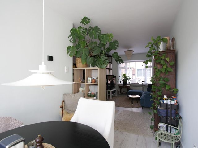 Dennenstraat 18, IJmuiden