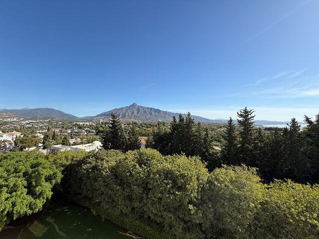 Avenida de Manolete , Marbella