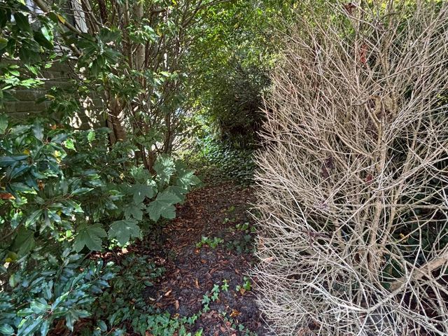 Langeweg 65, Slootdorp