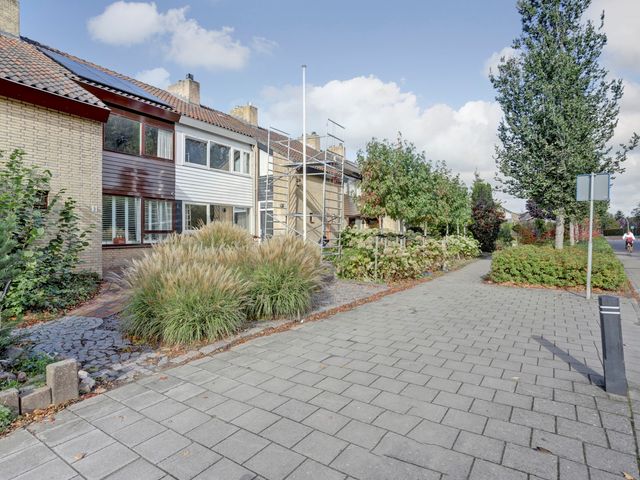 Trambaan 3, Strijen