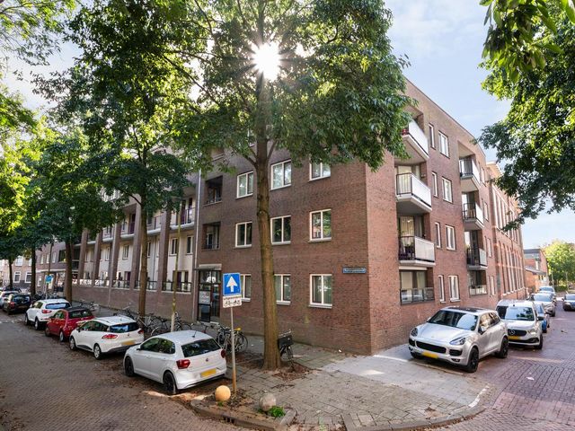 Ruivenplantsoen 100, Rotterdam