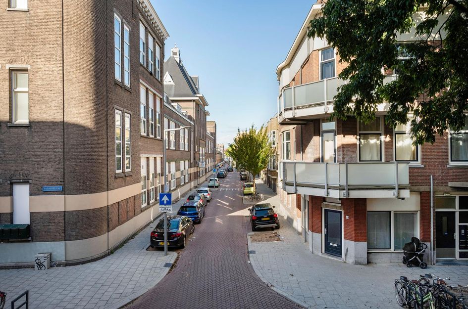 Ruivenplantsoen 100
