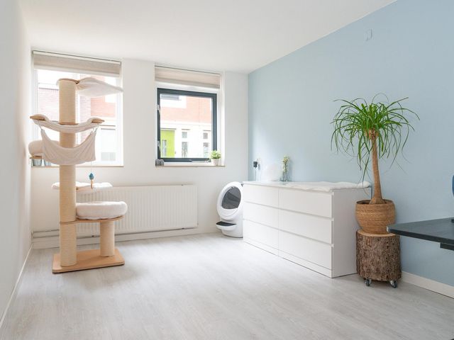 Nachtegaalstraat 45, Zwolle