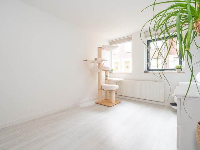 Nachtegaalstraat 45, Zwolle