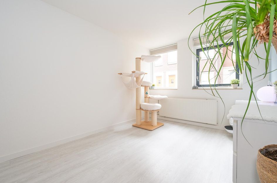 Nachtegaalstraat 45
