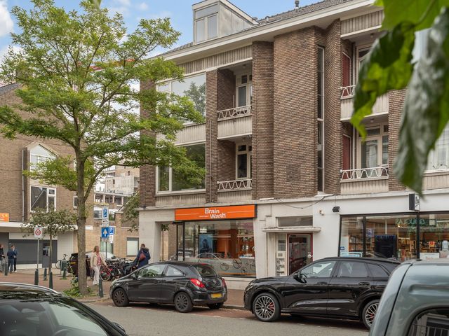 Theresiastraat 113A, 's-Gravenhage