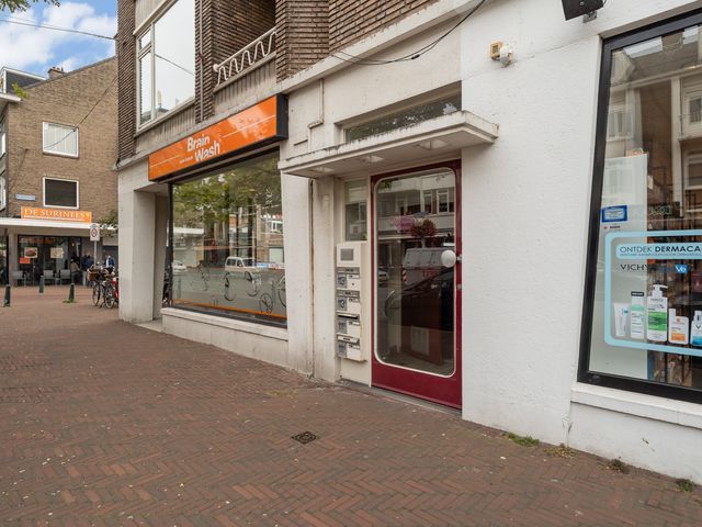 Theresiastraat 113A, 's-Gravenhage
