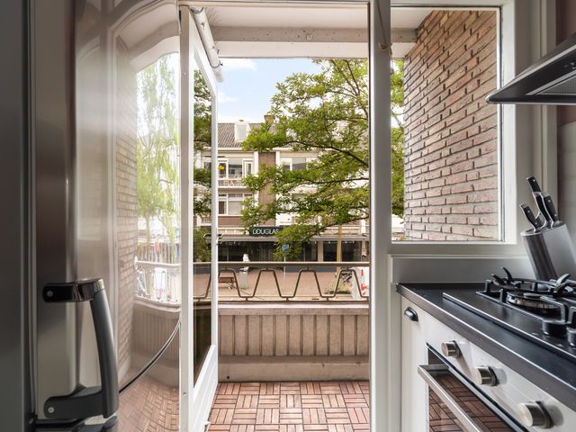 Theresiastraat 113A, 's-Gravenhage