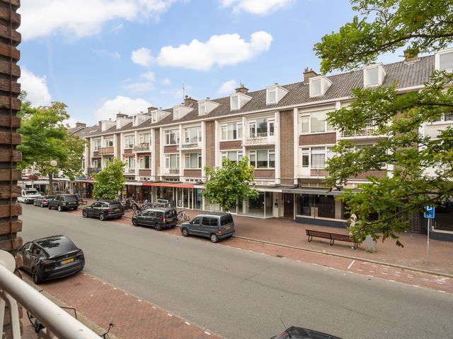 Theresiastraat 113A, 's-Gravenhage