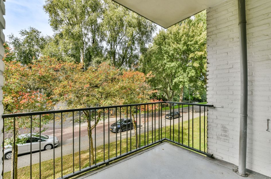 Pruimenlaan 38
