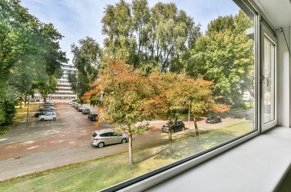 Pruimenlaan 38