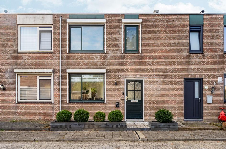 Zaagvisplantsoen 13