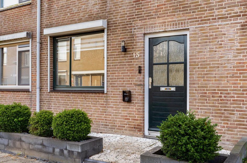 Zaagvisplantsoen 13