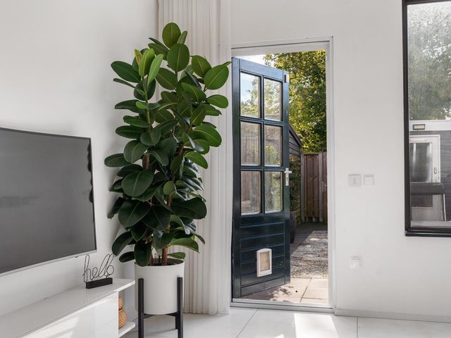 Zaagvisplantsoen 13, Almere