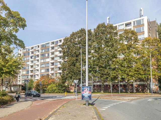 Antony Moddermanstraat 146, Amsterdam