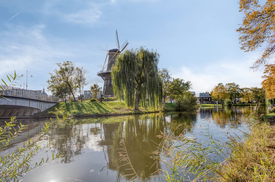 Rijnsburgersingel 52