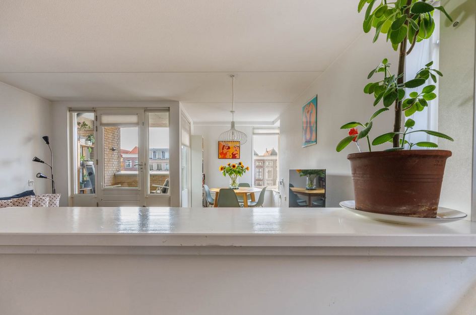 Oude Singel 264