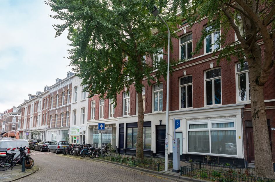 Witte de Withstraat 18C