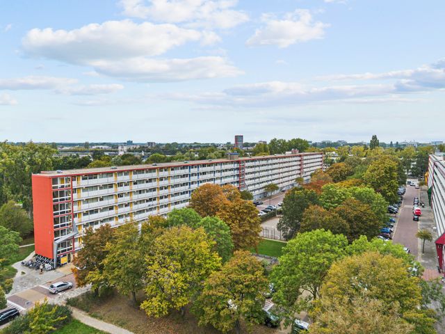 Jacques Urlusplantsoen 377, Leiden