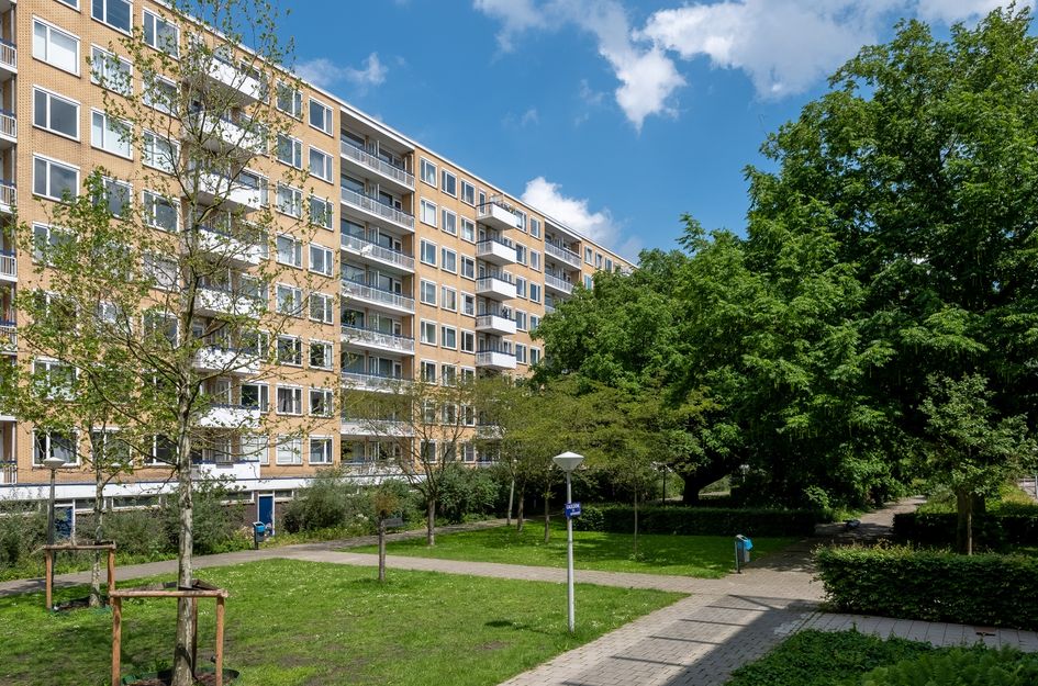 Van Nijenrodeweg 51