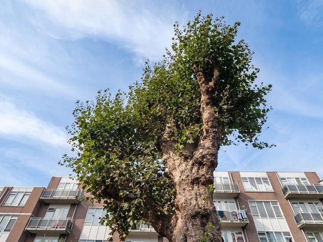 's-Gravendijkwal 35, Rotterdam
