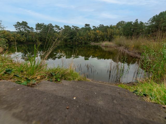 Dorperheideweg 34 2165, Arcen