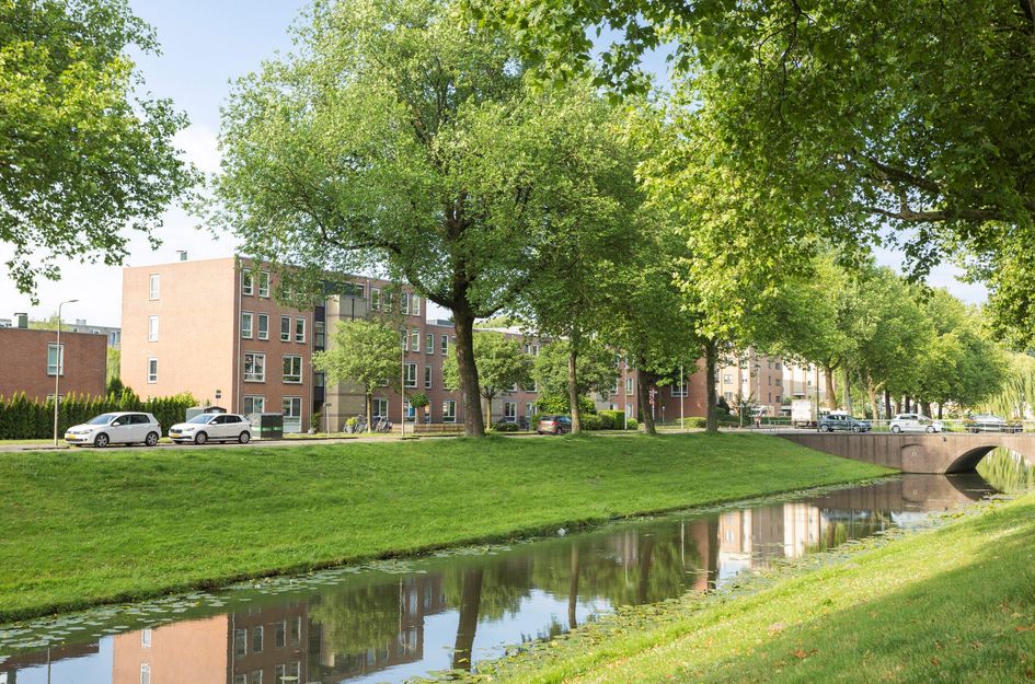 Kampwal 38