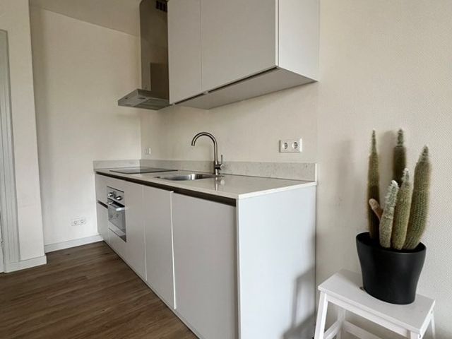Van Vollenhovenstraat 25D, Rotterdam