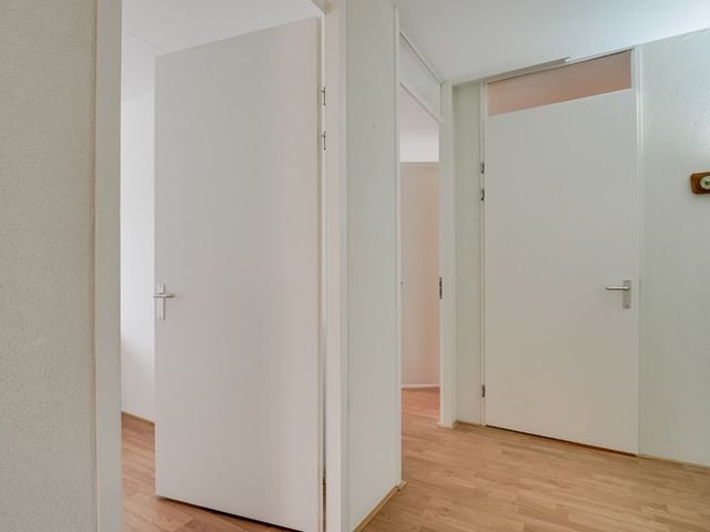 Kolblei 103, Avenhorn