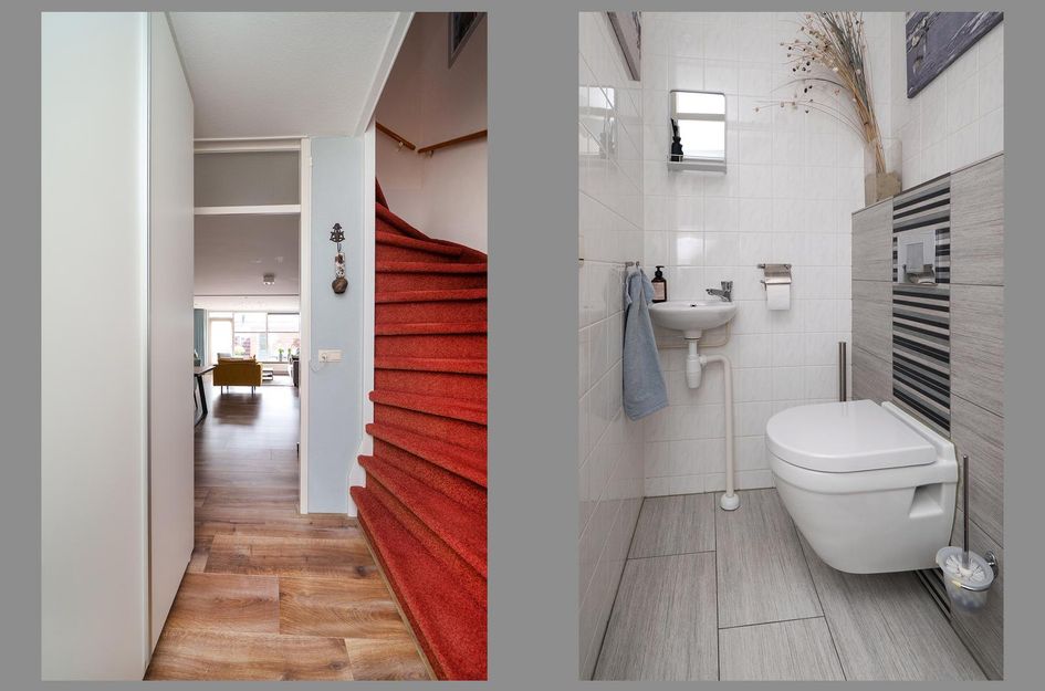 Hornetstraat 46