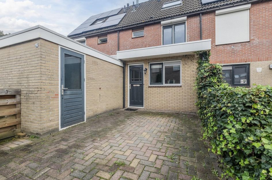 De Boeier 42