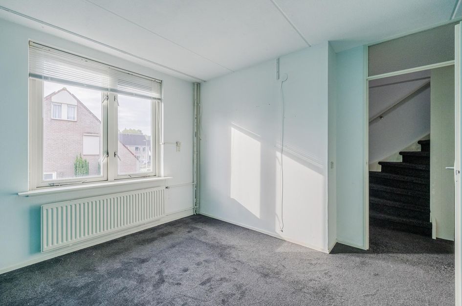 De Boeier 42
