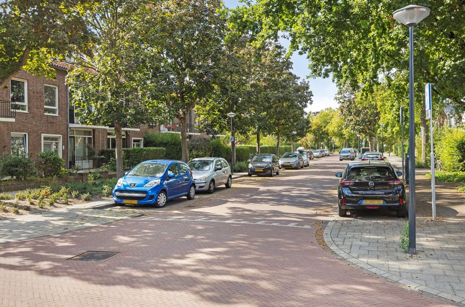 Roomburgerlaan 13