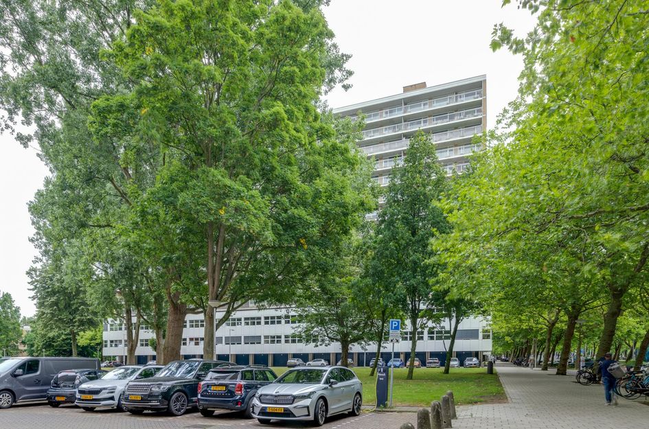 Weerdestein 41