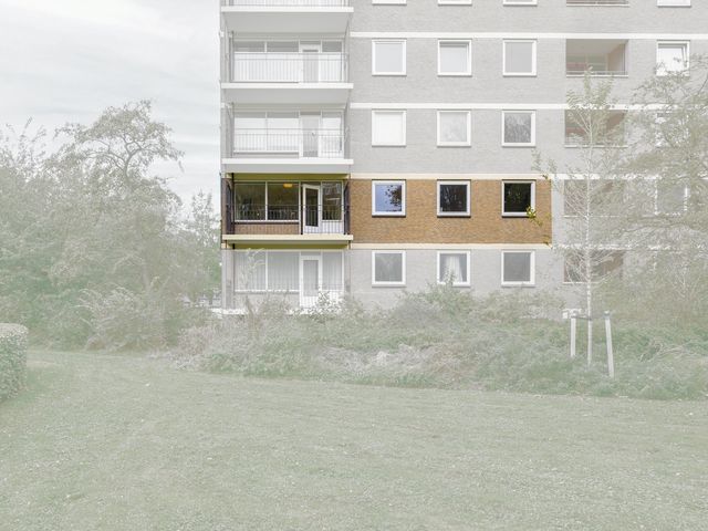 Dignaland 12, Den Haag