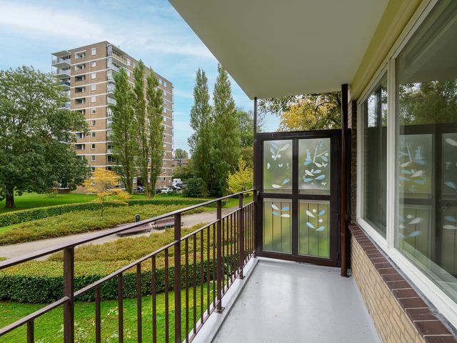 Dignaland 12, Den Haag