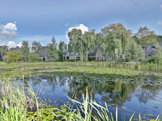 Schalluine 4, Reusel