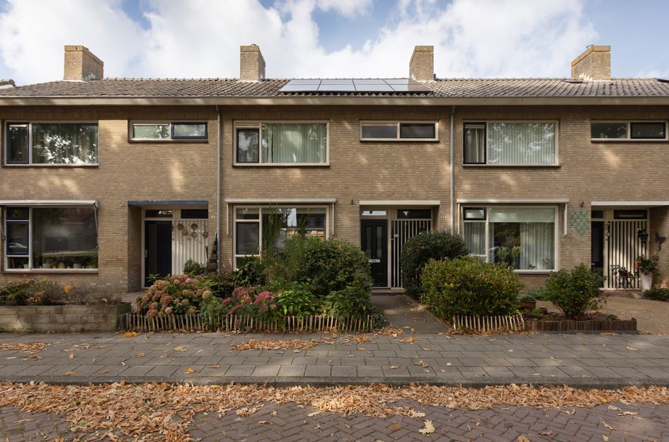Stadsstreng 8