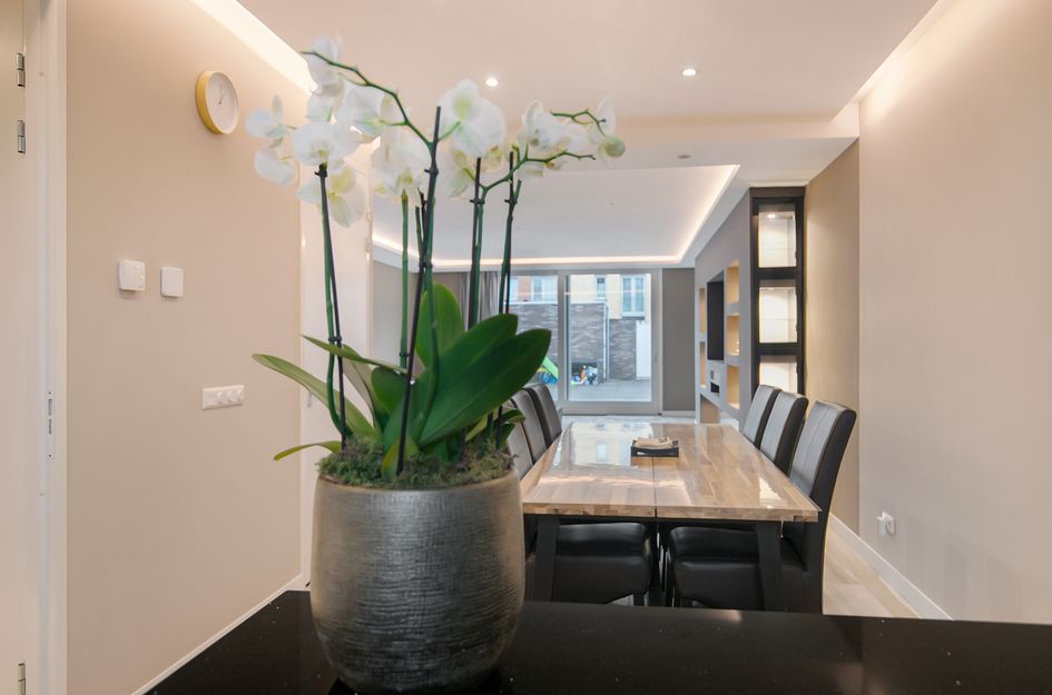 Prof. R. Casimirstraat 32C