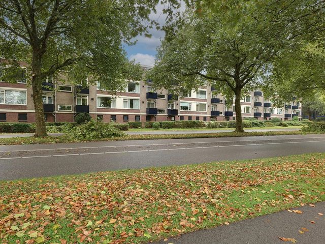 Boksbergenstraat 11 3, Arnhem
