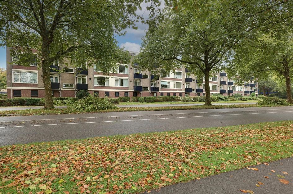 Boksbergenstraat 11 3