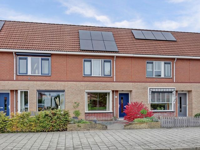 Roerdomp 61, Spanbroek