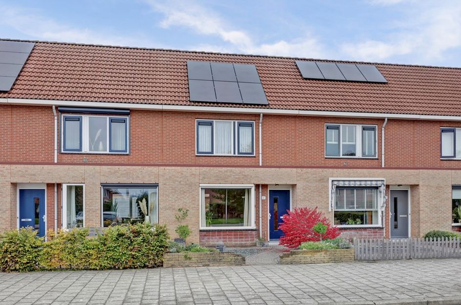 Roerdomp 61