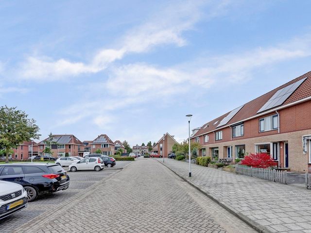 Roerdomp 61, Spanbroek