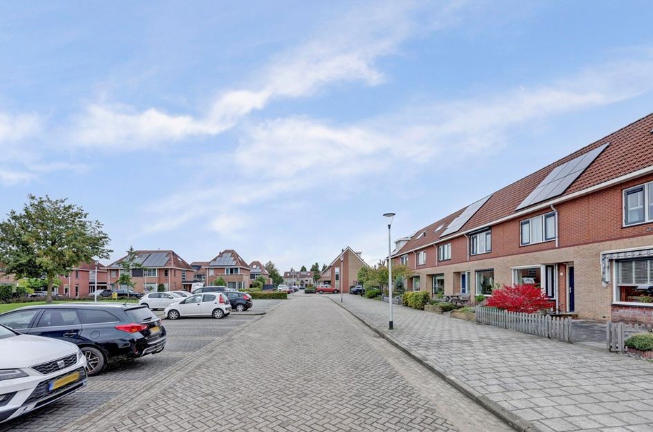 Roerdomp 61