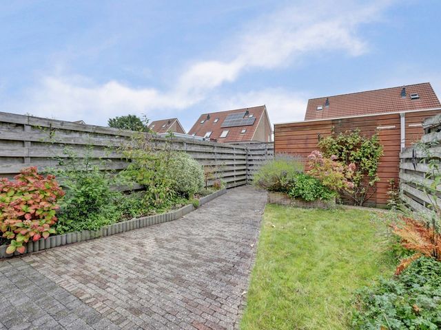 Roerdomp 61, Spanbroek
