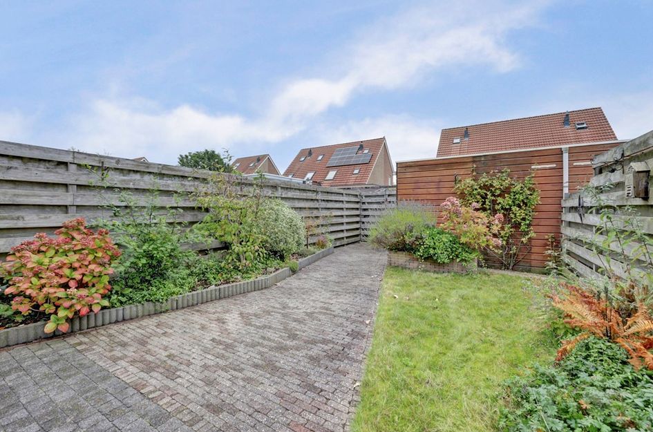 Roerdomp 61