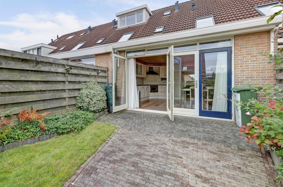 Roerdomp 61