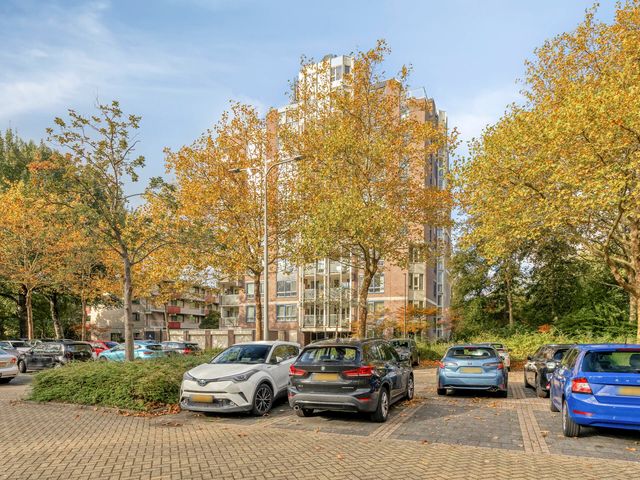 Logger 296, Amstelveen